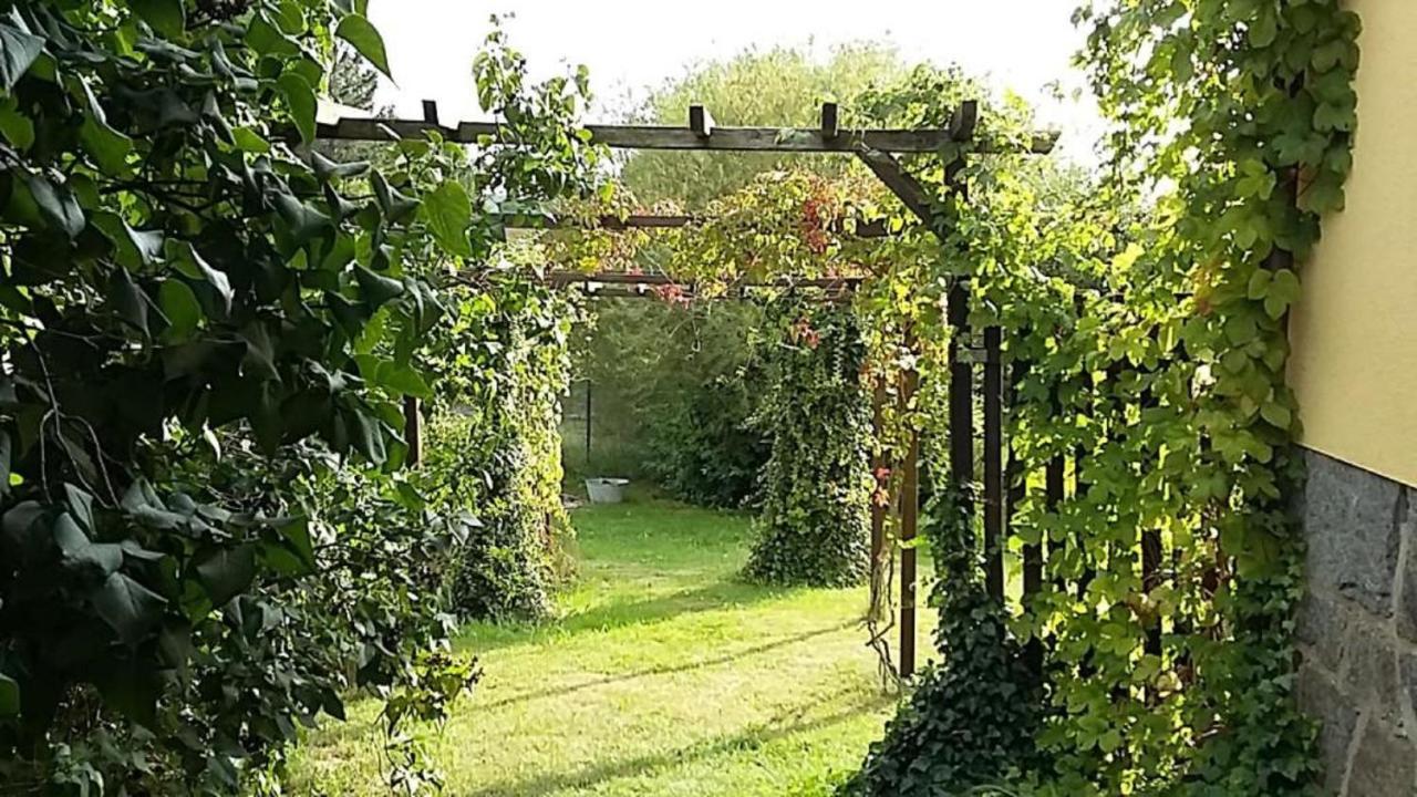 Genesungsort Landhaus Dammert Oppach エクステリア 写真